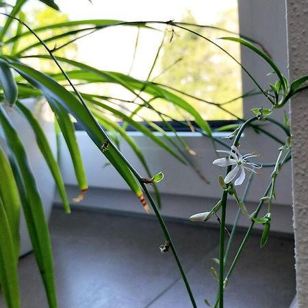 Kempten Mit Bauernhof-Flair Екстериор снимка