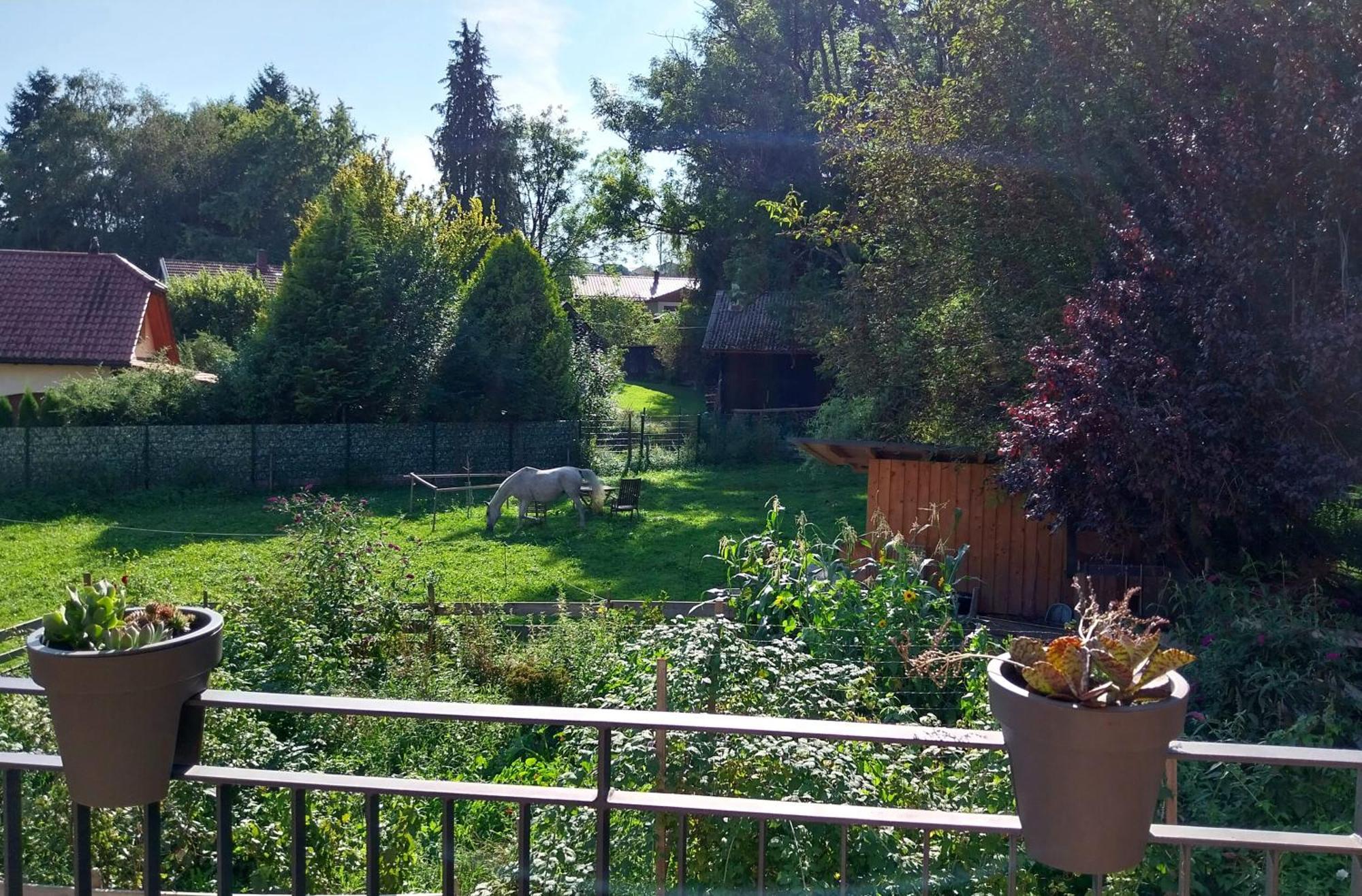 Kempten Mit Bauernhof-Flair Екстериор снимка